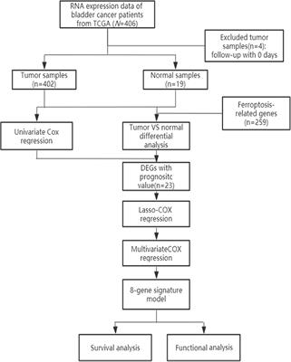 A Novel Prognostic Signature Based on Ferroptosis-Related Genes Predicts the Prognosis of Patients With Advanced Bladder Urothelial Carcinoma